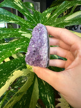 Load image into Gallery viewer, raw amethyst druzy- self standing 2
