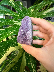 raw amethyst druzy- self standing 2