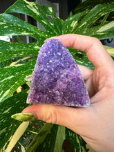 Load image into Gallery viewer, raw amethyst druzy- self standing 1
