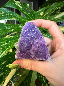 raw amethyst druzy- self standing 1