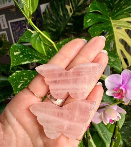 rose quartz butterfly