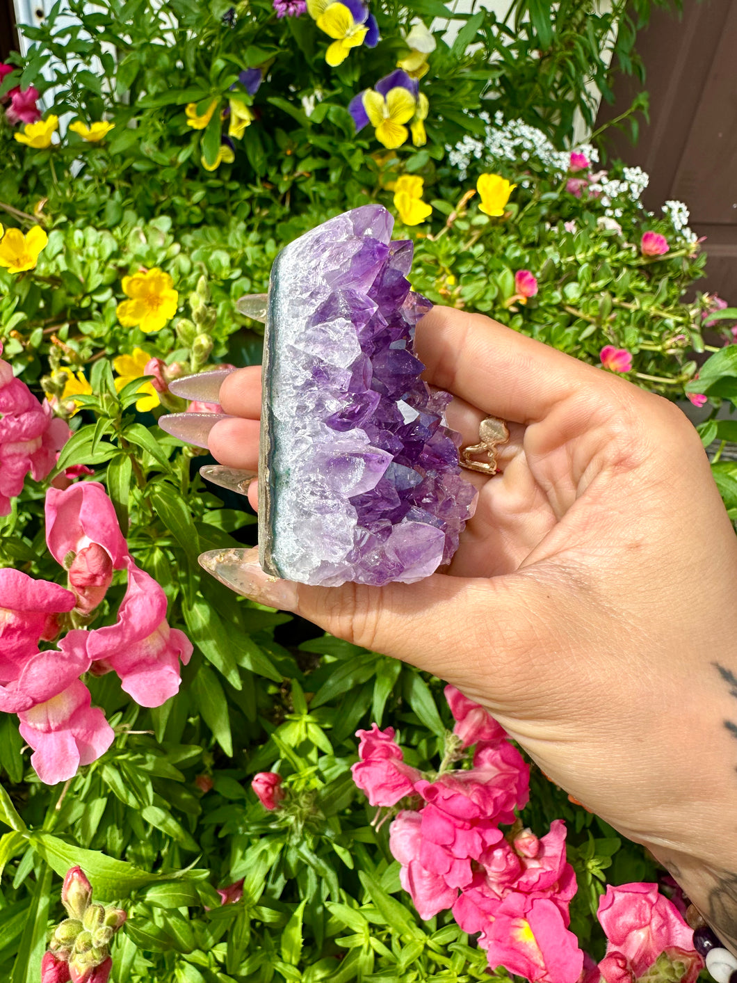 raw amethyst 🪻standing formation