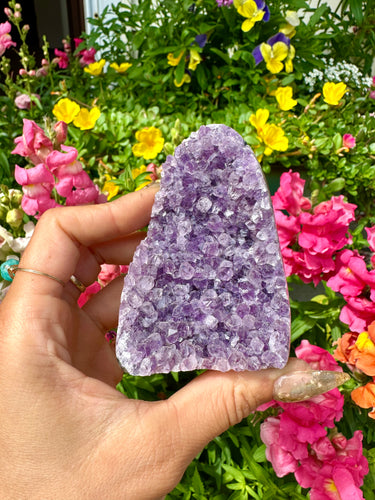 raw amethyst 🔮 standing formation
