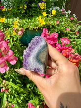 Load image into Gallery viewer, raw amethyst 💟 standing formation