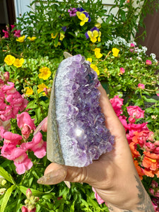 raw amethyst 💜 standing formation