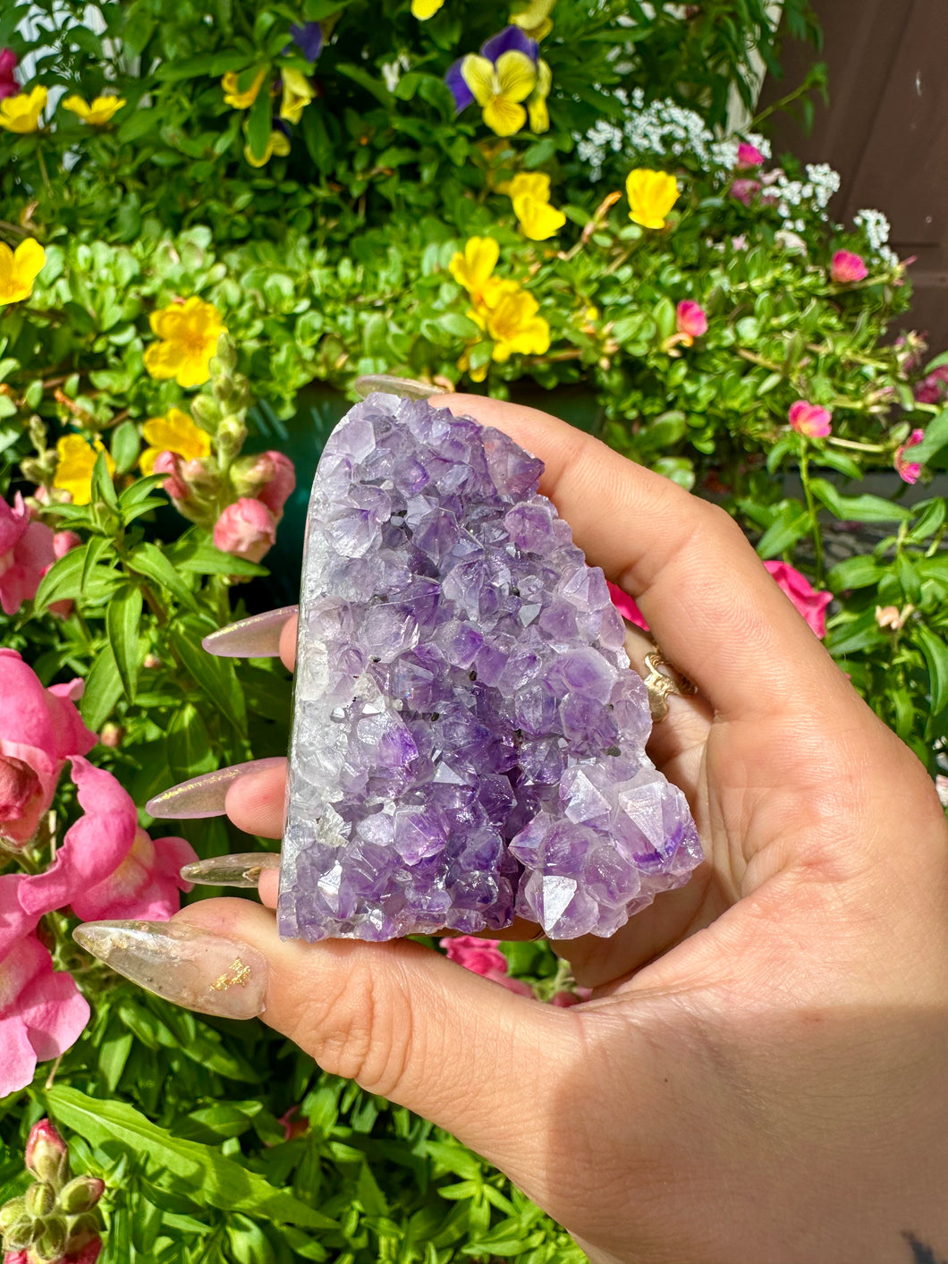 raw amethyst 💟 standing formation