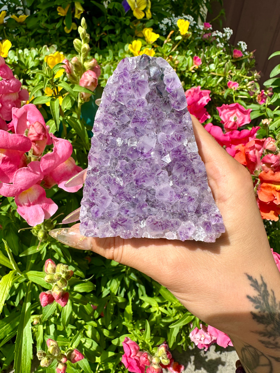 raw amethyst 💜 standing formation