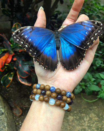 metamorphosis bracelet