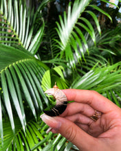 Load image into Gallery viewer, fossilized palm root necklace