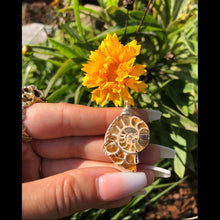 Load image into Gallery viewer, ammonite shell on cruelty-free suede