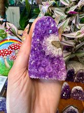 Load image into Gallery viewer, raw amethyst formation #8