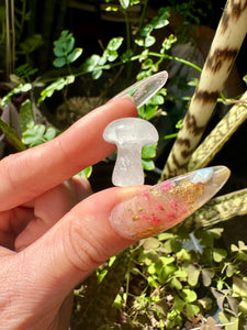 mini crystal mushroom