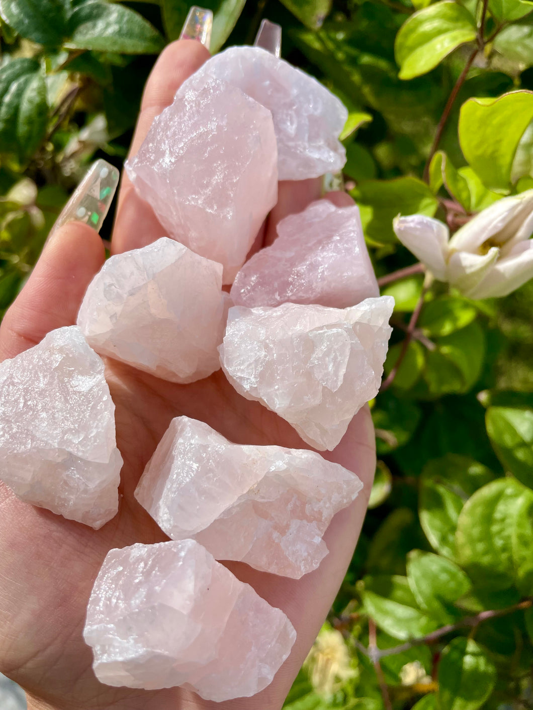 raw rose quartz