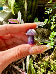 mini crystal mushroom