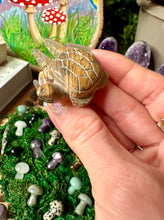 Load image into Gallery viewer, picture jasper turtle