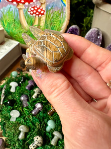 picture jasper turtle