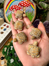 Load image into Gallery viewer, picture jasper turtle